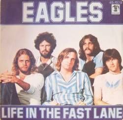 The Eagles : Life in the Fast Lane